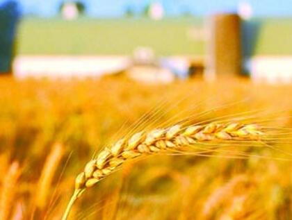 前5月磷復肥行業利潤85.5億同比上升13.3%